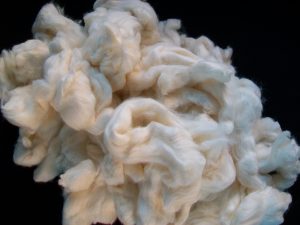 エジプト綿「GIZAコットン(ギザコットン)」について種類や繊度、歴史など徹底解説!